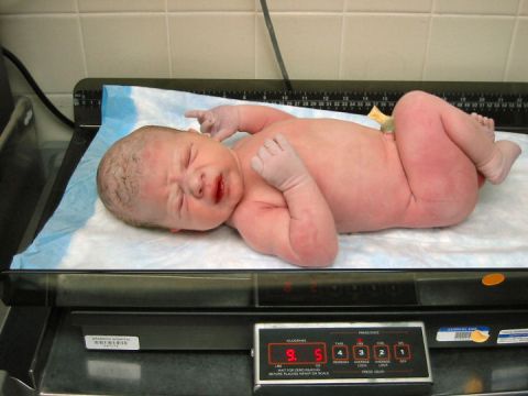 1972 Ford Ranchero - A newborn baby is weighed on a medical scale, displaying 9 lbs 5 oz.