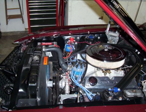 1969 Ford Mustang - Engine - LH View - Shade
