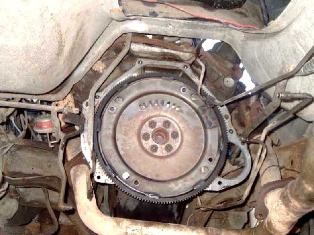 tranny removed