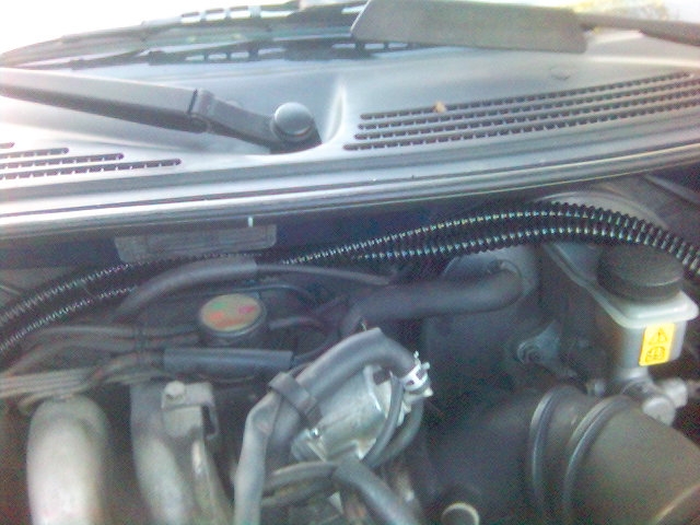 engine bay with hoses, fluid reservoir, and windshield wiper assembly