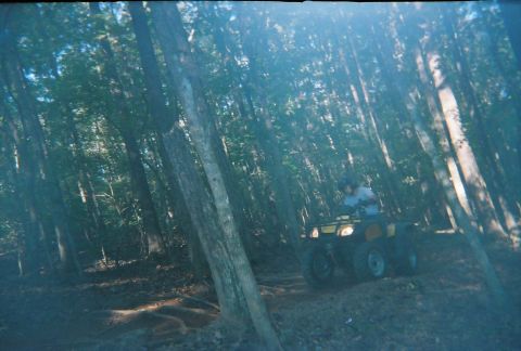 2003 Ford F-350 - Riding an ATV through a wooded area.
