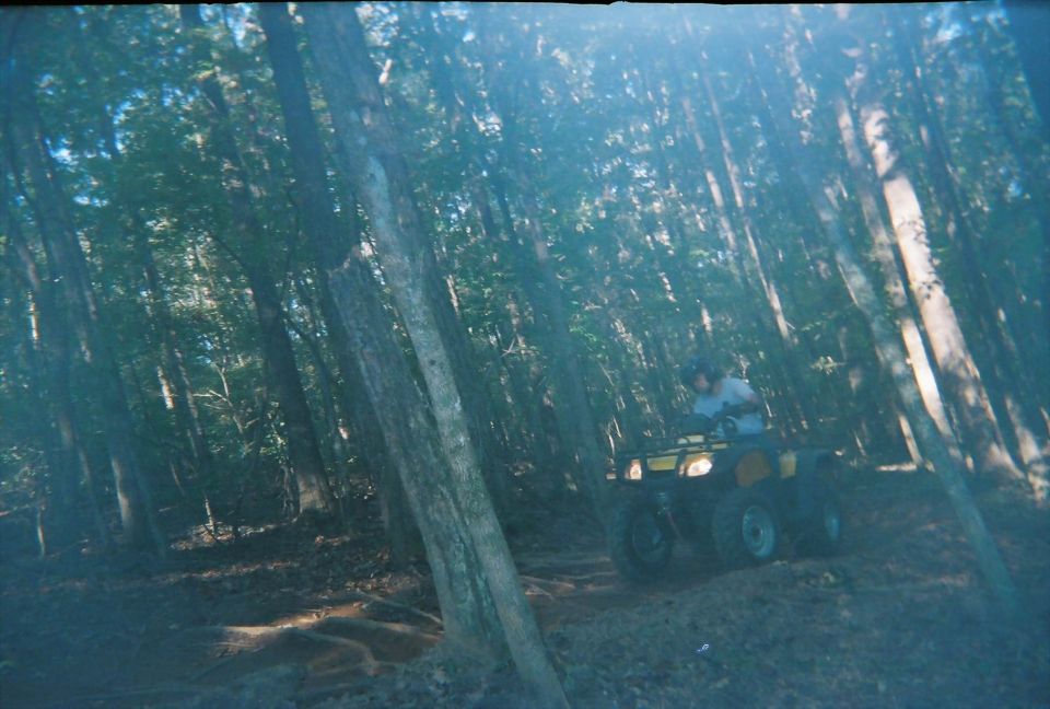 Person riding a yellow ATV on a dirt path through a forest