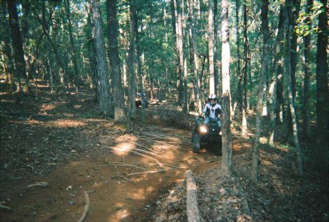 2003 Ford F-350 - Two ATVs navigate a wooded trail, kicking up dirt as they go.