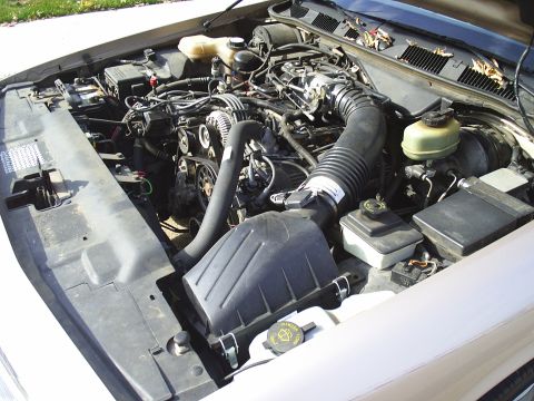 1993 Ford Crown Victoria - Engine bay of a 1993 Ford Crown Victoria, showing the V8 engine and associated components.