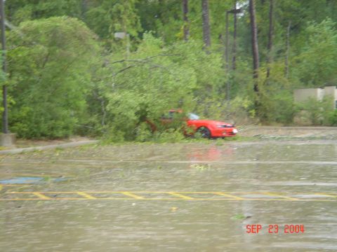 2002 Jeep Wrangler - Only Car Left in the Parking Lot. Guess Rita Didnt Like Ricers Either!!!!!