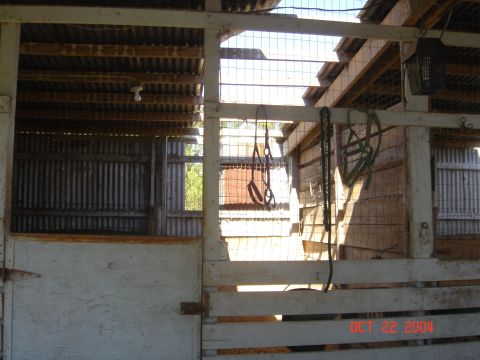 2002 Jeep Wrangler - Barn interior with horse tack hanging from beams. Date stamp shows Oct 22, 2001.