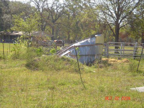 2002 Jeep Wrangler - A rural scene shows a collapsed shed and overgrown vegetation under a clear sky.