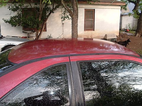 1994 Ford Thunderbird - here's some more first day pics.