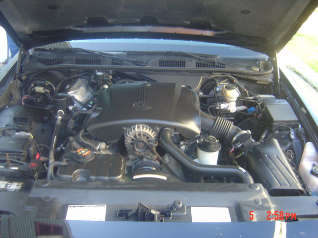 Ford modular V8 engine bay with black plastic intake manifold, hood open
