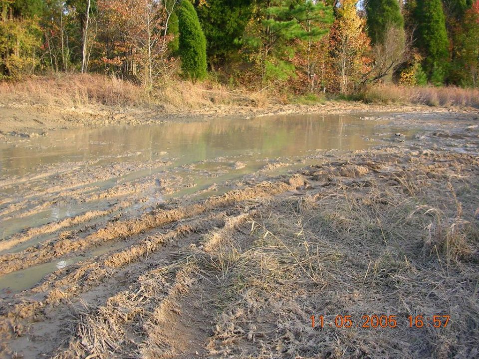 Muddy ground with tire tracks and a shallow pool of water, surrounded by dry grass and trees