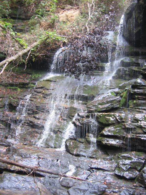 1985 Ford LTD Crown Victoria - A natural waterfall flows over layered rocks, surrounded by foliage and fallen branches.