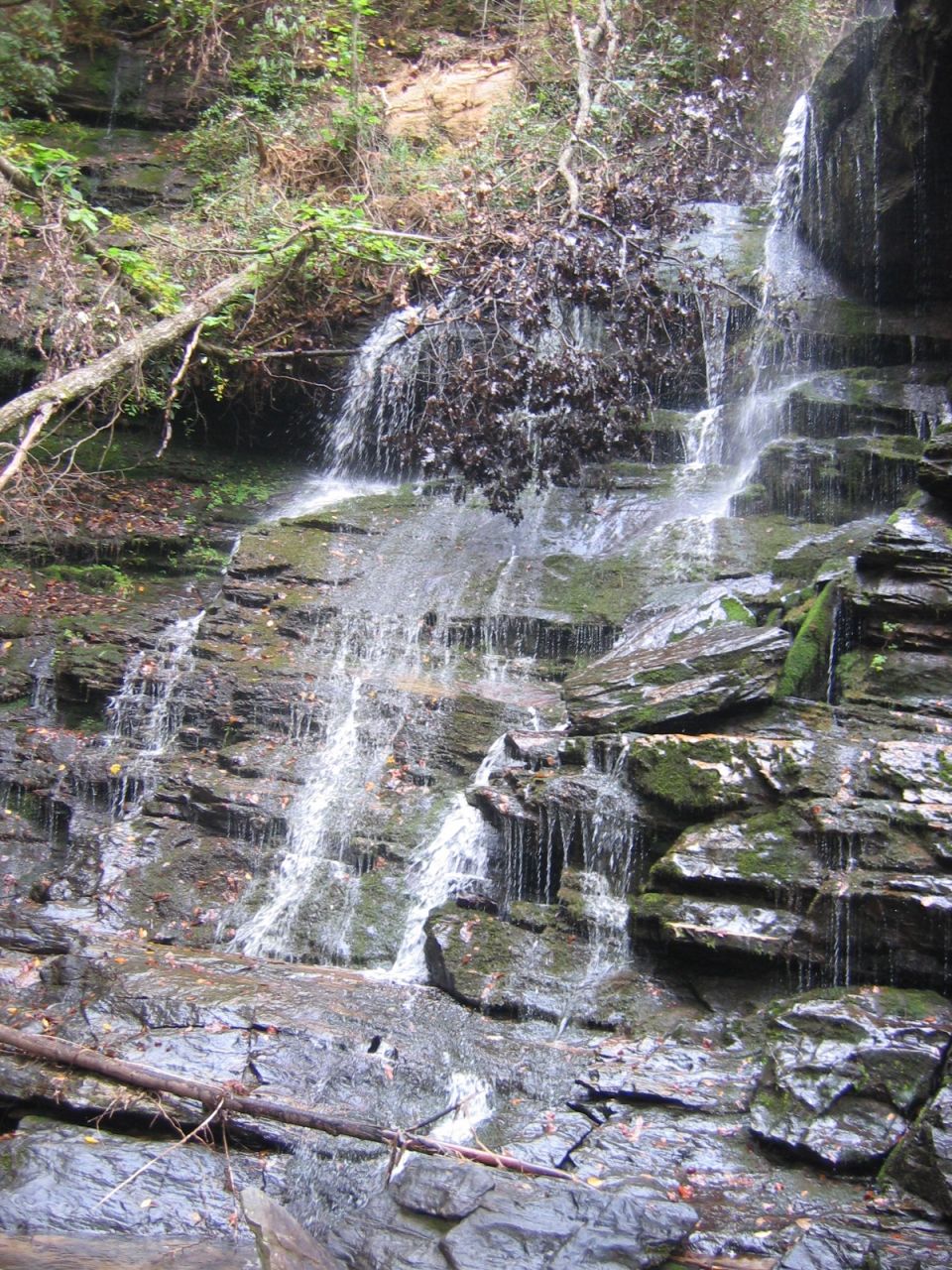 Waterfall cascading over mossy rocks and fallen leaves