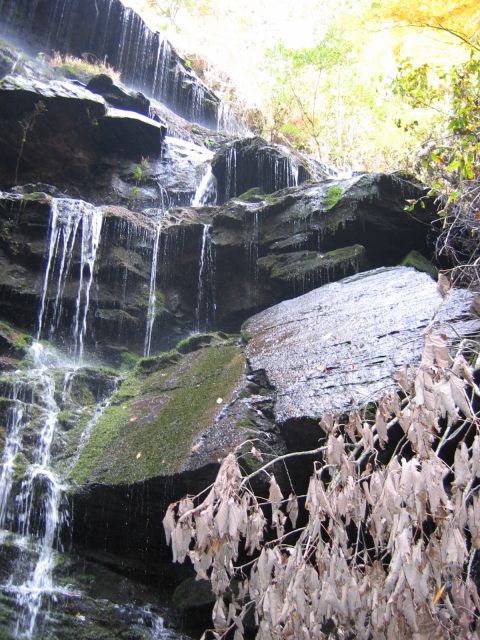 1985 Ford LTD Crown Victoria - A scenic view of a waterfall flowing over rocks, with dry leaves in the foreground, captured on November 6, 2005.