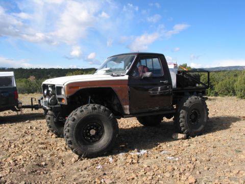 1981 Ford Bronco - The last clean picture of the Tronco.