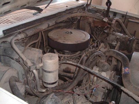 1984 Ford Bronco photo