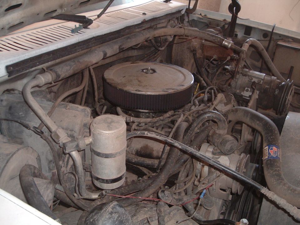 Engine bay with air cleaner, hoses, and engine components visible