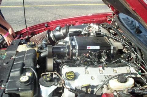 1998 Ford Crown Victoria - The V8 32 valve engine of a 1998 Ford Crown Victoria, a prominent supercharger and aftermarket air intake.