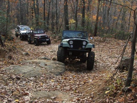 1996 Ford Bronco - Several Jeeps navigate a wooded trail during the fall season.