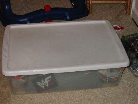 1991 Ford Bronco - A clear plastic storage bin with a white lid sits on a carpeted floor, containing various items including a WWF logo patch.