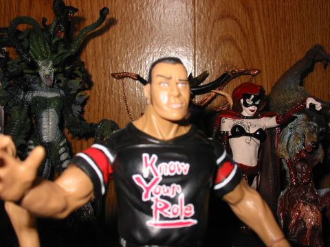 1991 Ford Bronco - A collection of action figures displayed on a shelf, with one figure prominently wearing a shirt with the text "Know Your Role".