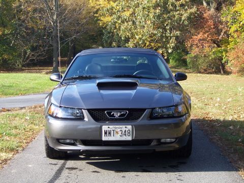 2004 Ford Mustang photo