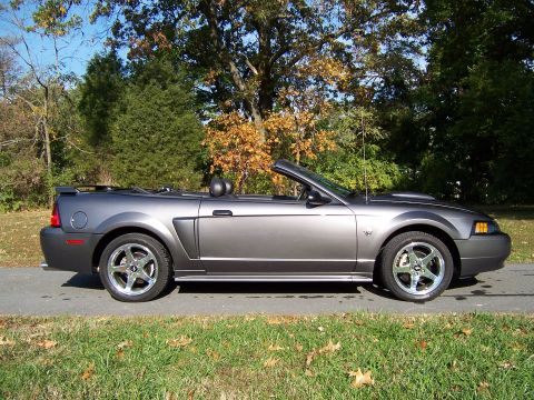 2004 Ford Mustang photo