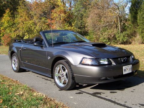 2004 Ford Mustang photo