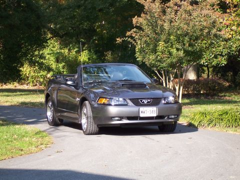 2004 Ford Mustang photo