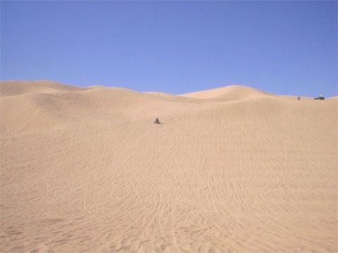1993 Ford Bronco - A quad bike navigates the vast sand dunes, with a distant SUV visible on the horizon under a clear blue sky.