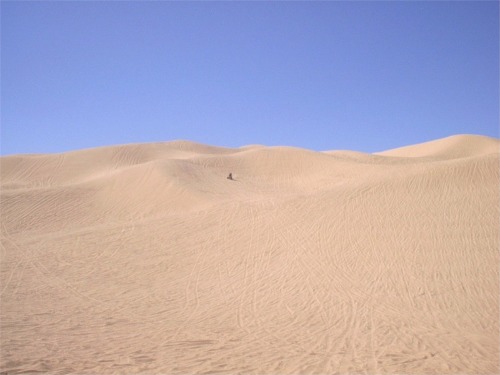 Sand dunes under a clear blue sky with a small ATV visible in the distance