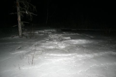 2003 Jeep TJ - A winter scene at night shows a tree next to icy, snow-covered ground.