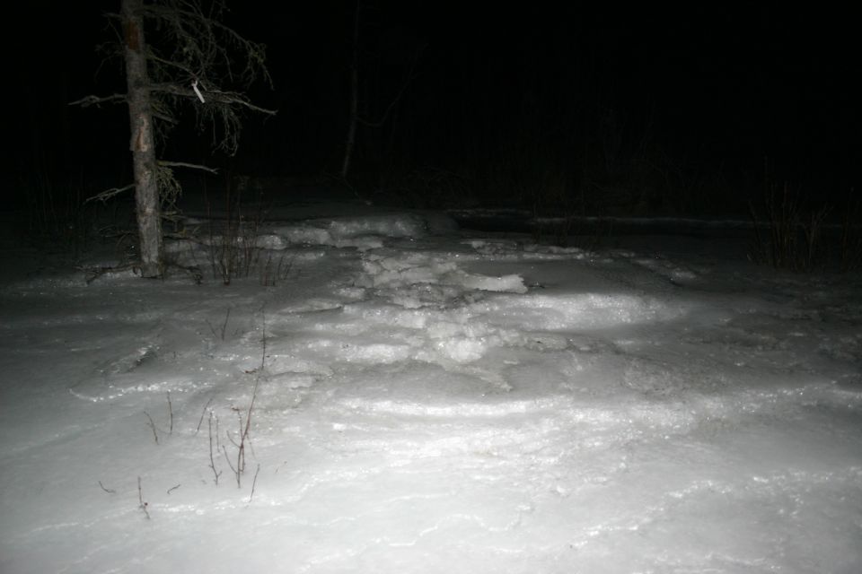 snowy ground with ice and a bare tree at night