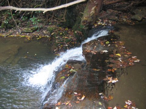 1985 Ford LTD Crown Victoria - A small waterfall flows over rocks in a wooded area, with autumn leaves on the ground.