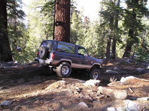 1986 Ford Bronco II