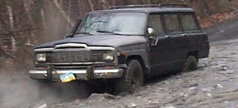 1979 Jeep Wagoneer photo