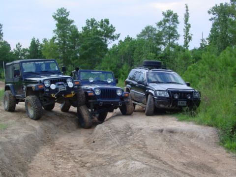 2002 Jeep Wrangler - Two Jeep Wranglers and a Jeep Grand Cherokee navigate a bumpy dirt path surrounded by trees.