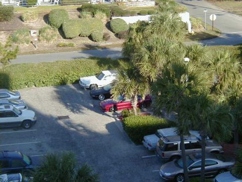 1994 Ford Probe - A variety of vehicles are parked in an outdoor lot, surrounded by lush greenery and palm trees.