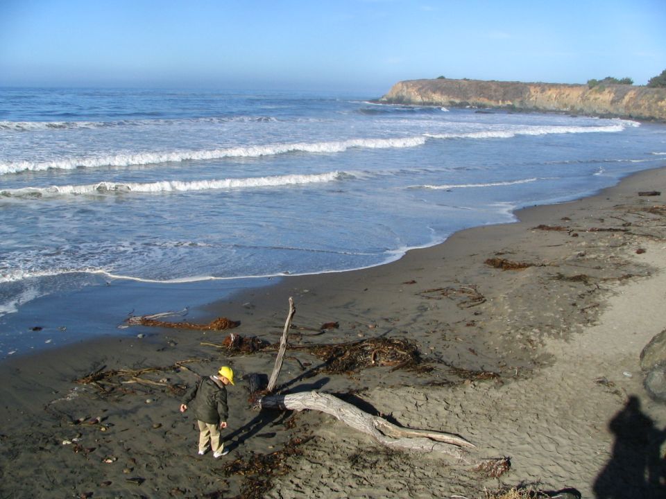 Person in yellow hard hat on a sandy beach with waves and driftwood