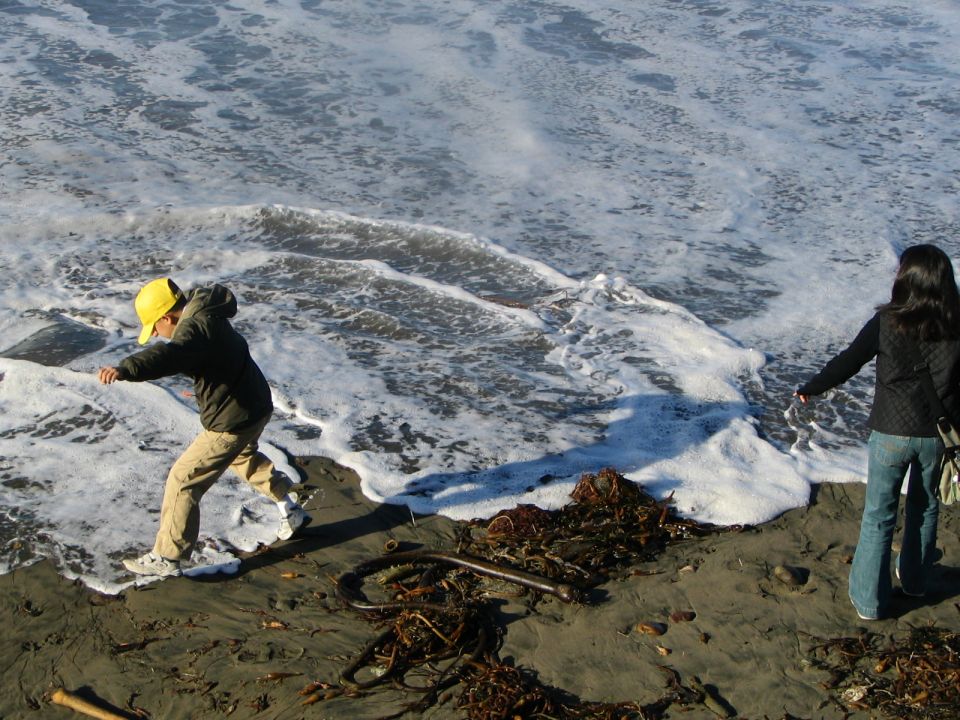 Beach scene with two people near the water's edge, with seaweed and debris on the sand