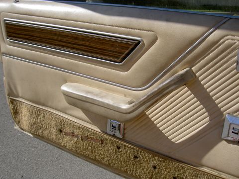 1982 Ford Mustang - Close-up of a car's interior door panel tan upholstery, wood grain accents, and textured fabric lower section.