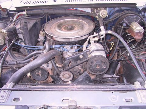 1984 Ford Bronco photo