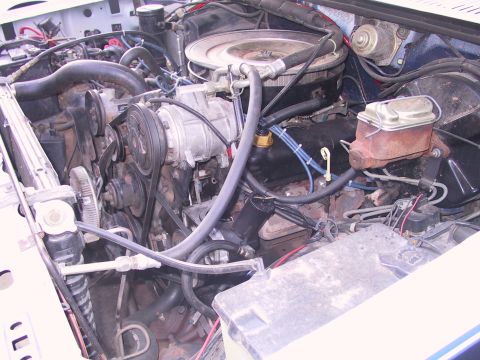 1984 Ford Bronco photo