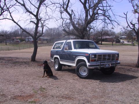 1984 Ford Bronco photo