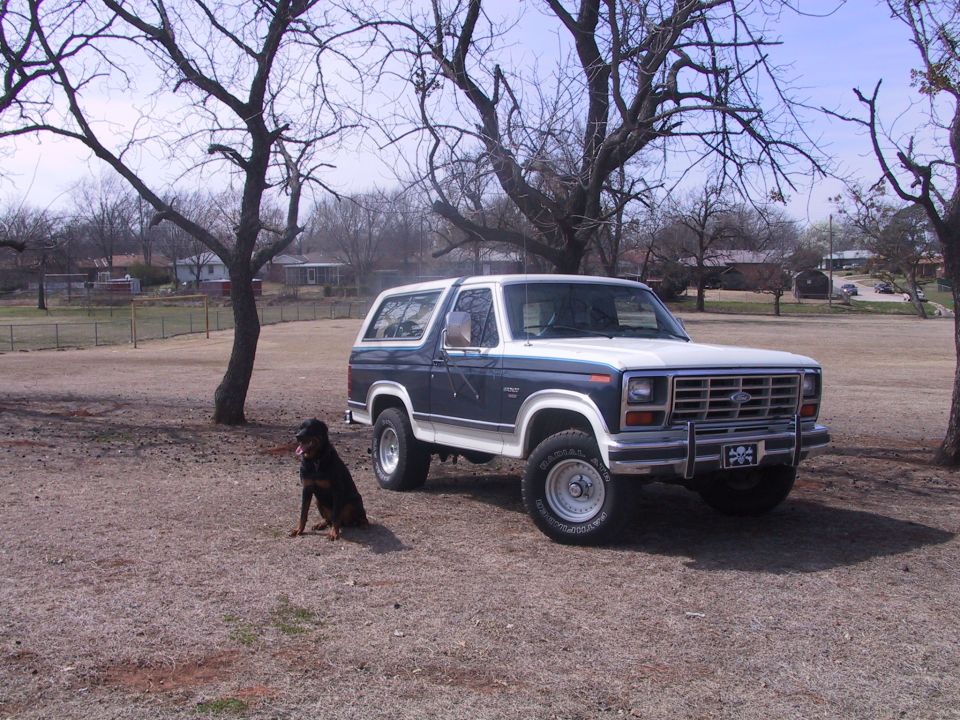 White and blue Ford Bronco with grille guard parked on grass, Rottweiler dog sitting nearby