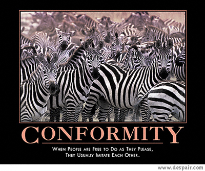 2001 Ford Crown Victoria - A group of zebras are pictured with text about conformity and imitation.