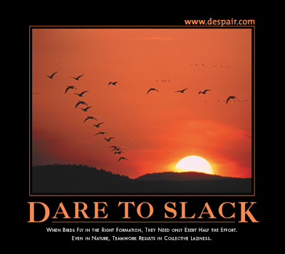 2001 Ford Crown Victoria - A motivational image depicts birds flying in formation during a vibrant sunset.