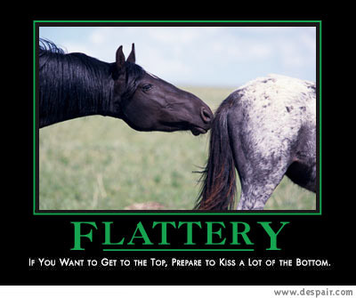 2001 Ford Crown Victoria - Demotivational poster two horses with a humorous caption about flattery.