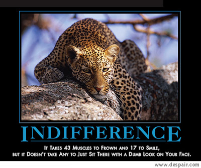 2001 Ford Crown Victoria - A leopard rests on a tree branch, accompanied by a motivational poster about indifference.
