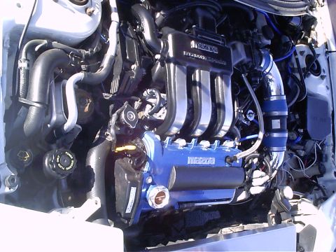 1995 Ford Probe “Bernie”