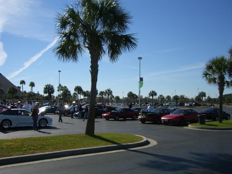 1996 Ford Probe - A gathering of cars in a parking lot with palm trees and a clear blue sky.
